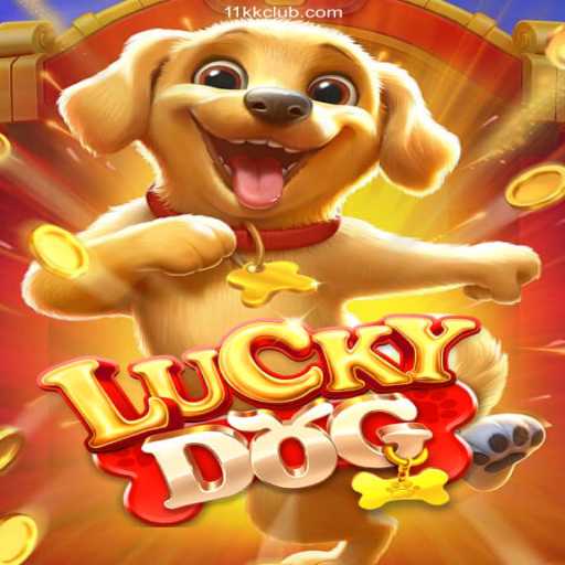 Discovering LuckyDog: An Exciting Online Casino Experience